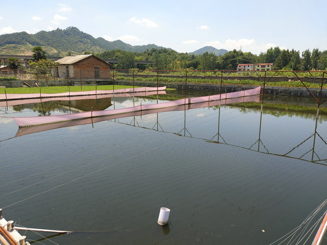 養(yǎng)殖環(huán)境  7