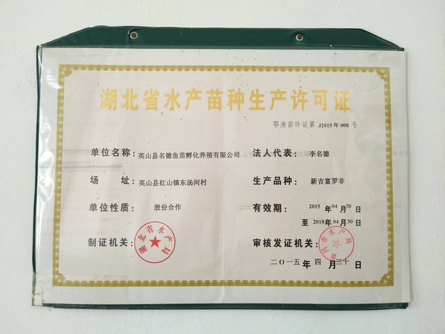 湖北省水產(chǎn)苗種生產(chǎn)許可證